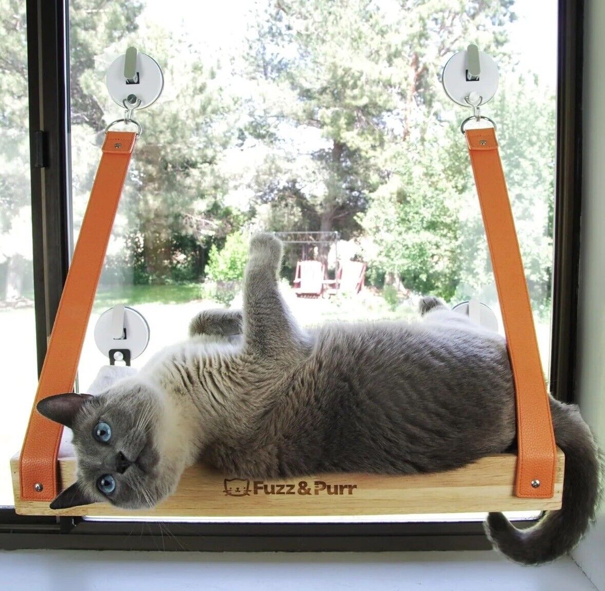 Indoor Large Cat Window Perch| Window Cat Perch 4 Suction Cups