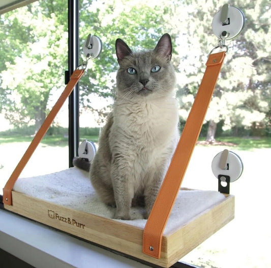 Indoor Large Cat Window Perch| Window Cat Perch 4 Suction Cups