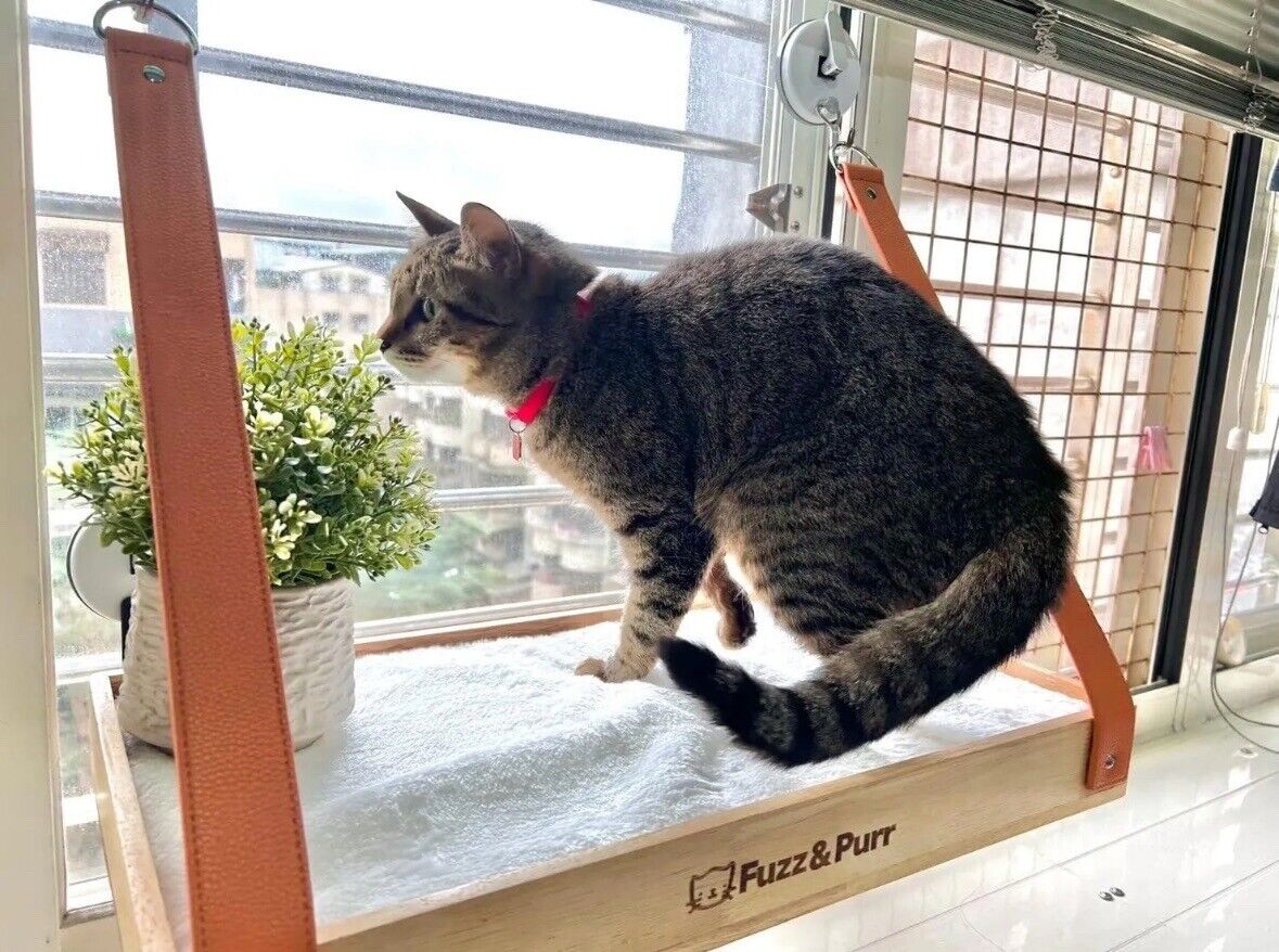 Indoor Large Cat Window Perch| Window Cat Perch 4 Suction Cups